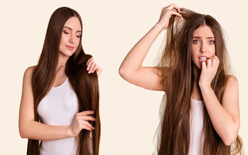 انواع پروتئینه مو: راهنمای کامل برای درمان و تقویت موهای آسیبدیده 3 پروتئین جوانه گندم