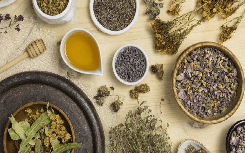 15 تا از بهترین گیاهان دارویی برای لاغری 3 گیاهان دارویی برای لاغری