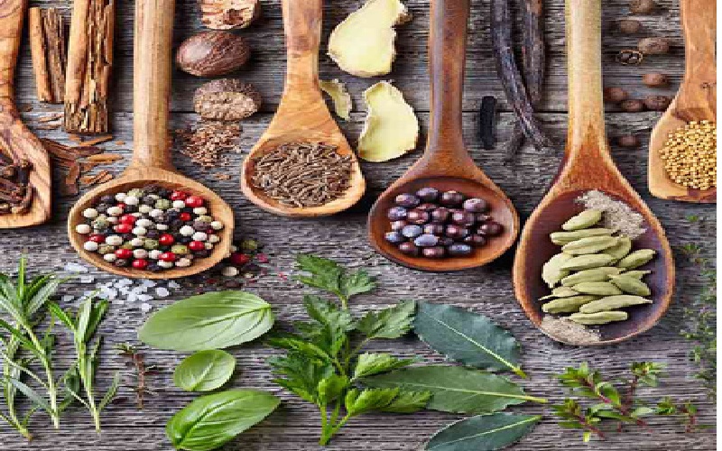 15 تا از بهترین گیاهان دارویی برای لاغری 2 گیاهان دارویی برای لاغری