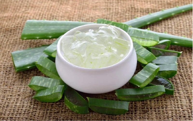 بهترین روش سریع پاک کردن تاتو و خالکوبی در خانه 1 آلوئهورا؛ گیاهی برای ترمیم و کاهش رنگ جوهر