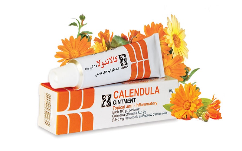 پماد برای از بین بردن جای زخم؛ معرفی بهترین کرمها و ژلهای ترمیمکننده 6 پماد کالاندولا (Calendula)؛ تسکیندهنده و ترمیمکننده برای زخمهای باز