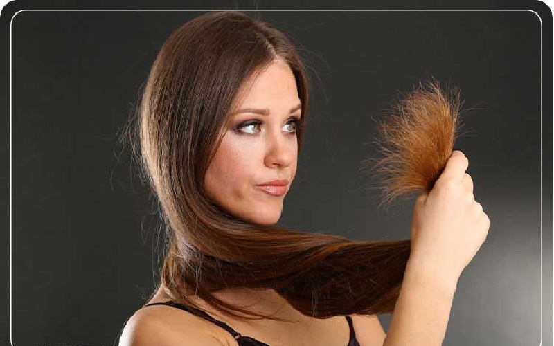 موخوره چیست و چگونه میتوان با آن مقابله کرد؟ 1 موخوره چیست؟