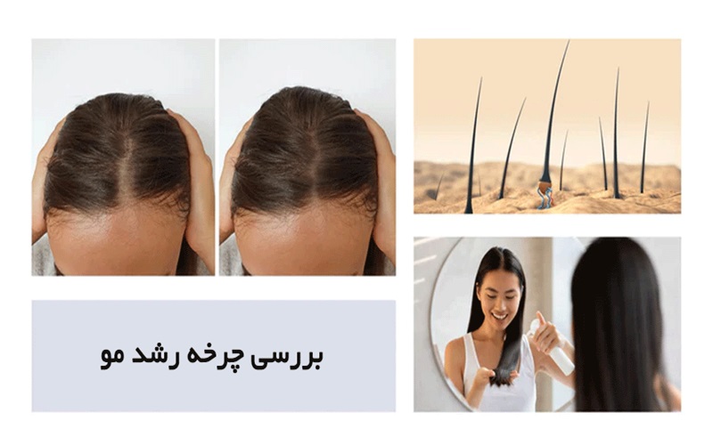 ساختار مو و مراحل رشد مو ؛ از ریشه تا زیبایی 3 مراقبت از مو با توجه به ساختار و مراحل رشد